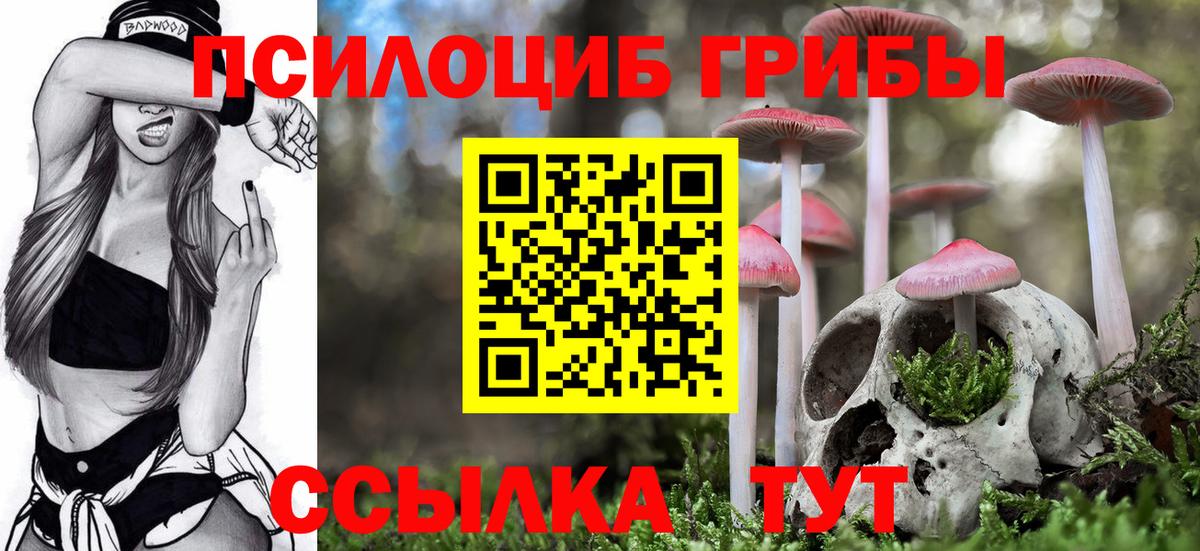 Галлюциногенные грибы MAGIC MUSHROOMS  Псилоцибиновые грибы Psilocybine cubensis  Лиски  Вход с VPN 